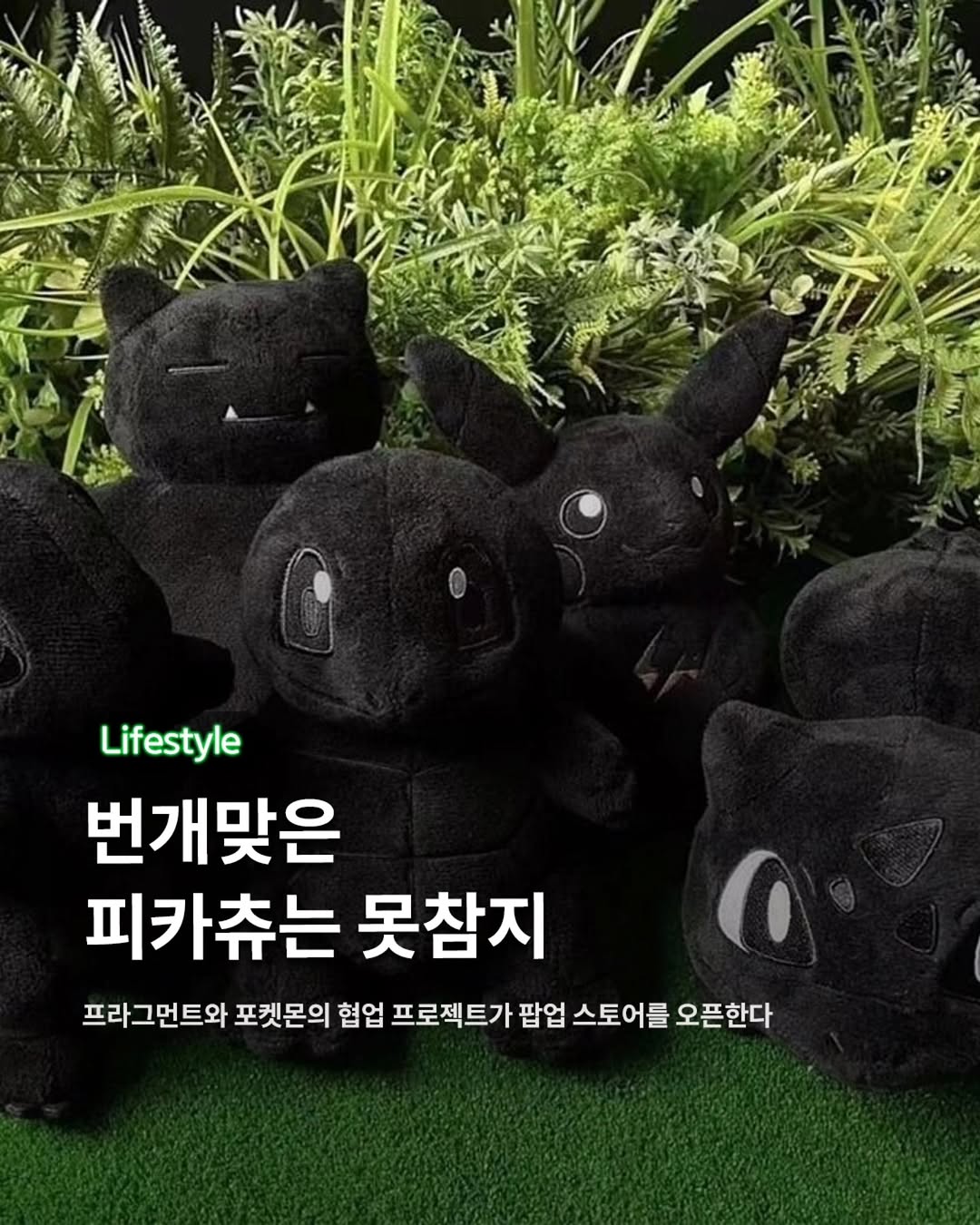 @pokemon_korea_official 광고 소재