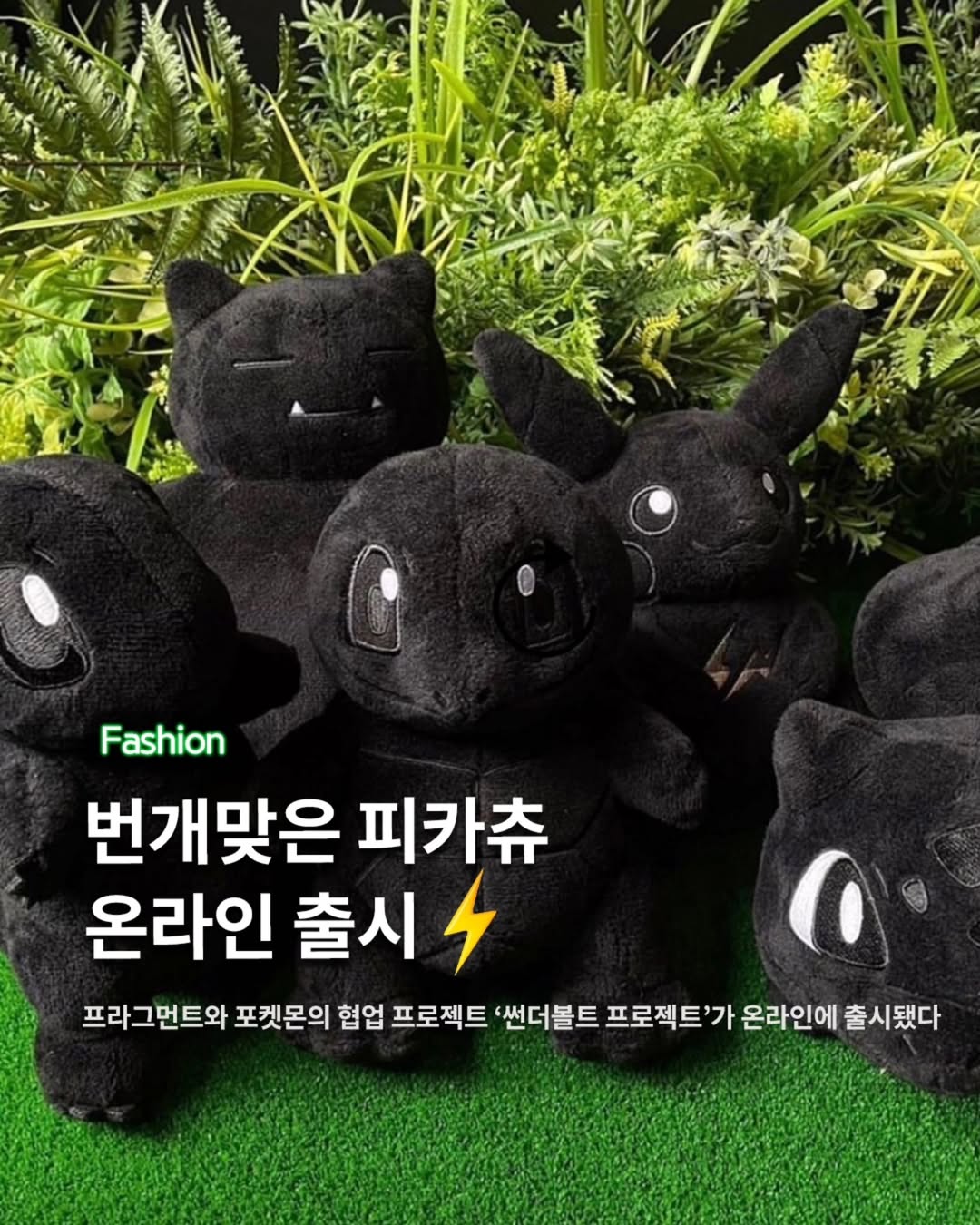 @pokemon_korea_official 광고 소재