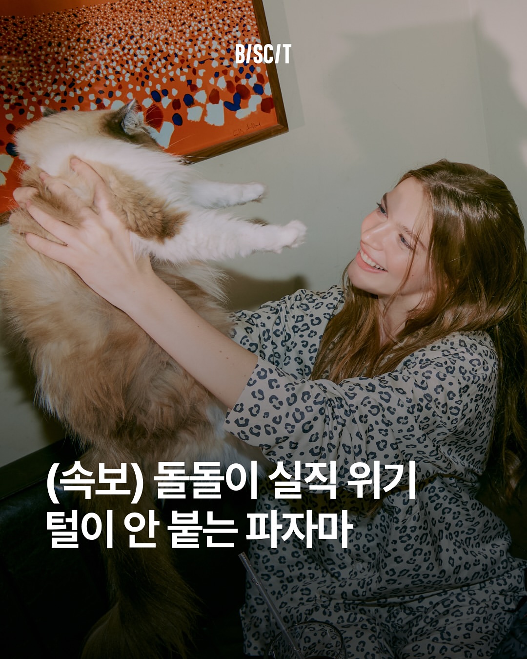 @danceonthefloor_official 광고 소재