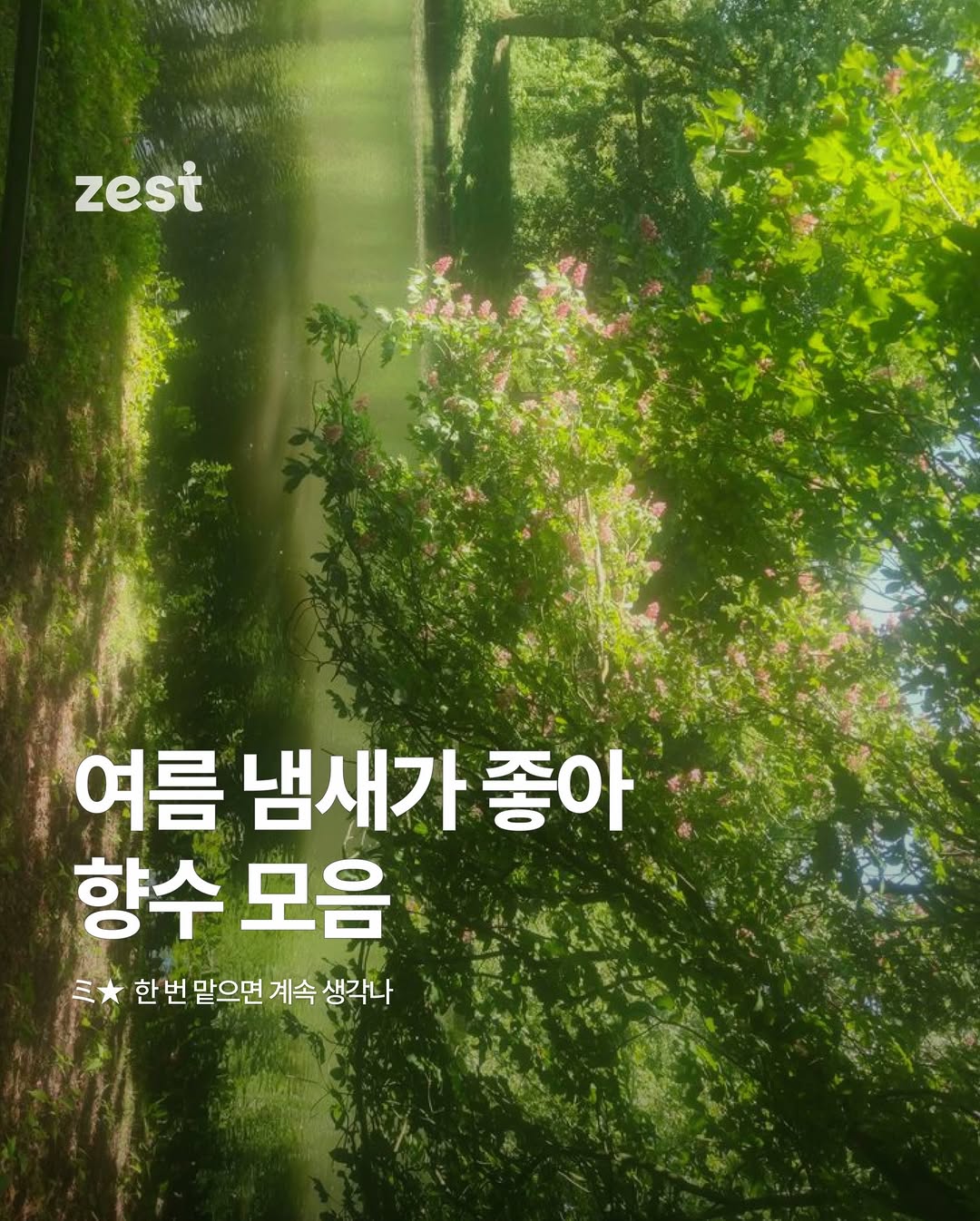 아쿠아 디 파르마 광고 소재
