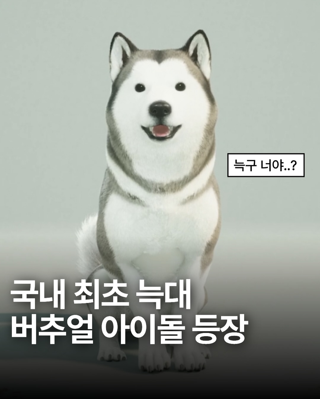 @wegosix 광고 소재