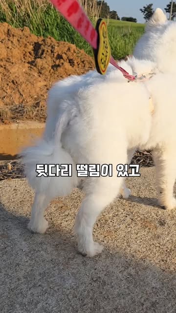 페렌들리 광고 소재