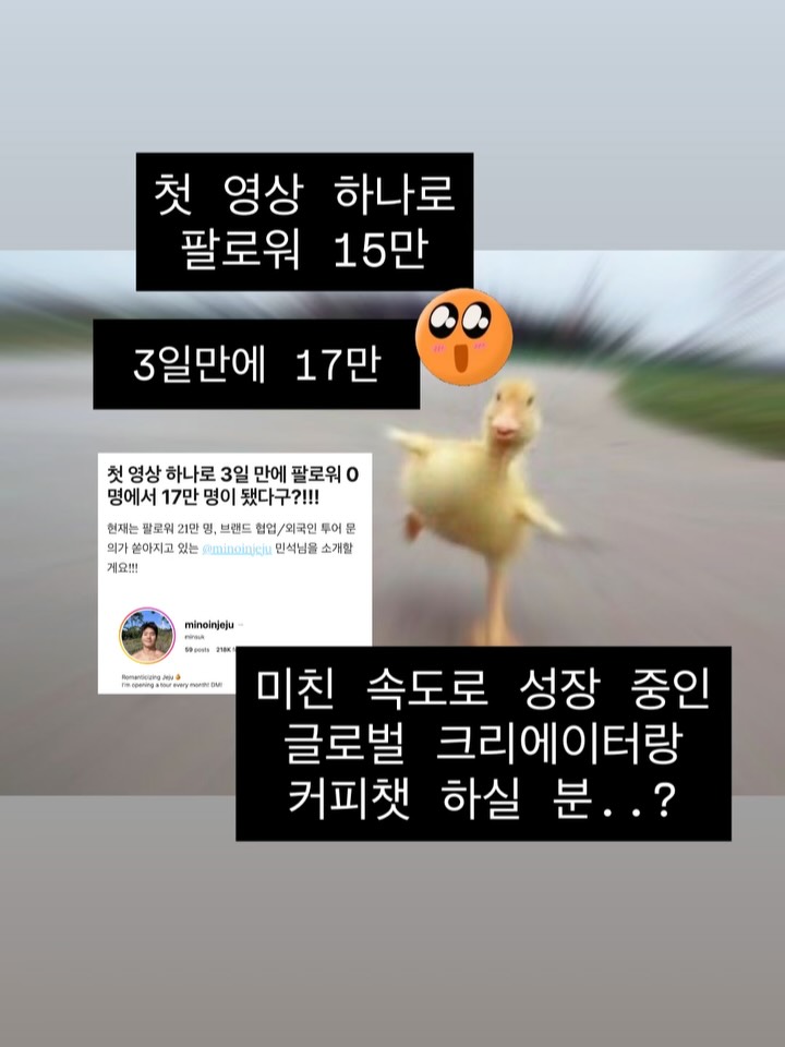 @branddiggingclub.com 광고 소재