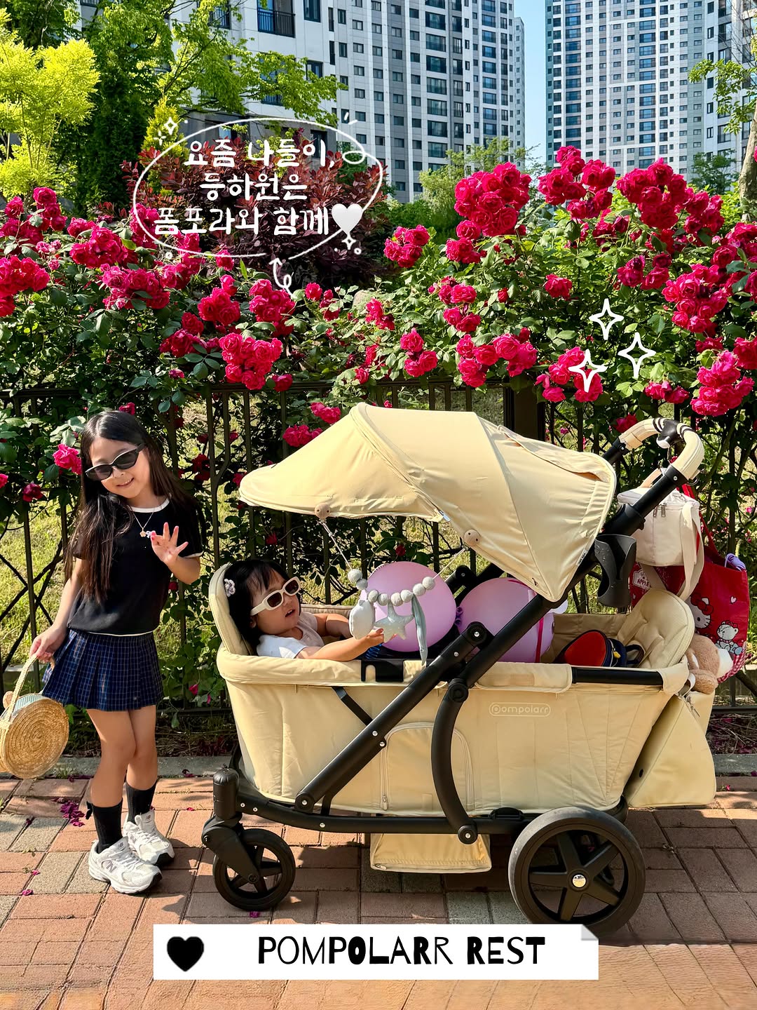 @pompolarr 광고 소재
