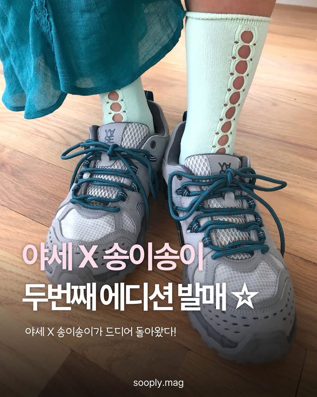 송 이 🌵 광고 소재