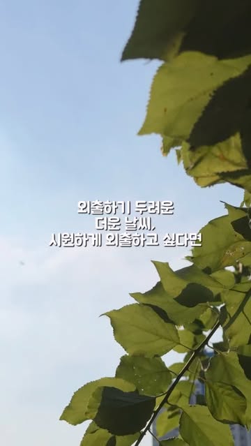 DANSOON 단순생활 광고 소재
