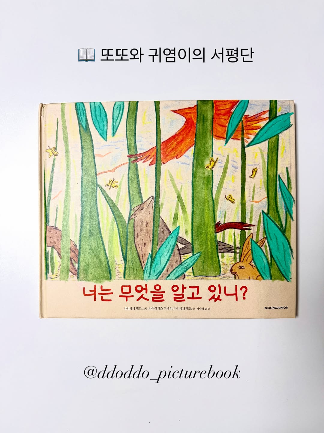 시공주니어 광고 소재