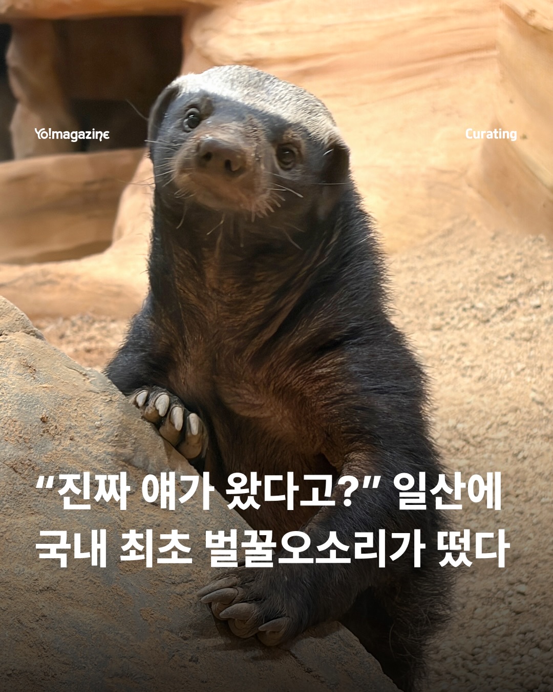 아쿠아플라넷 광고 소재