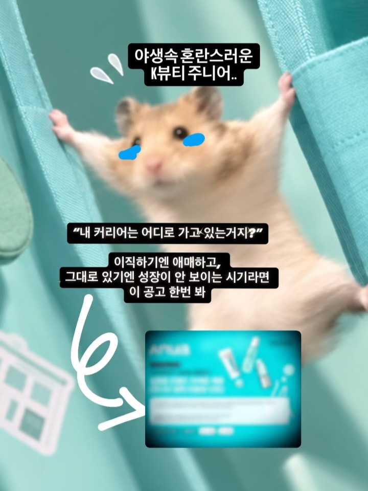 아누아 광고 소재
