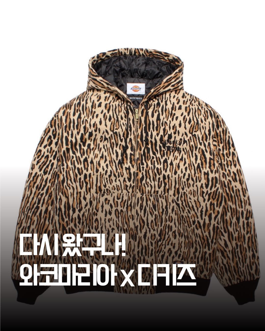 디키즈 광고 소재