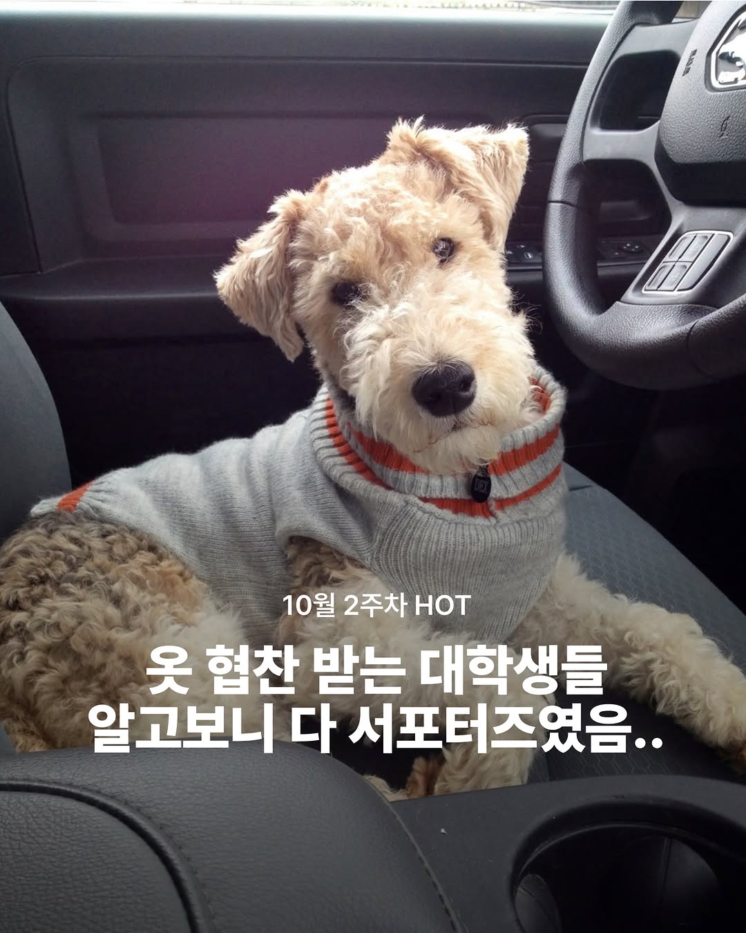 코더스 광고 소재