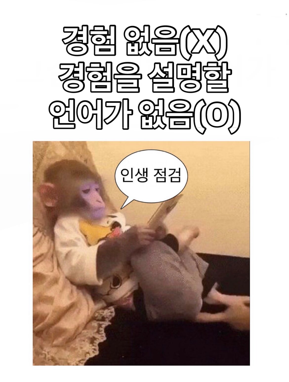 프레임 | 라이프스타일 편집샵 광고 소재