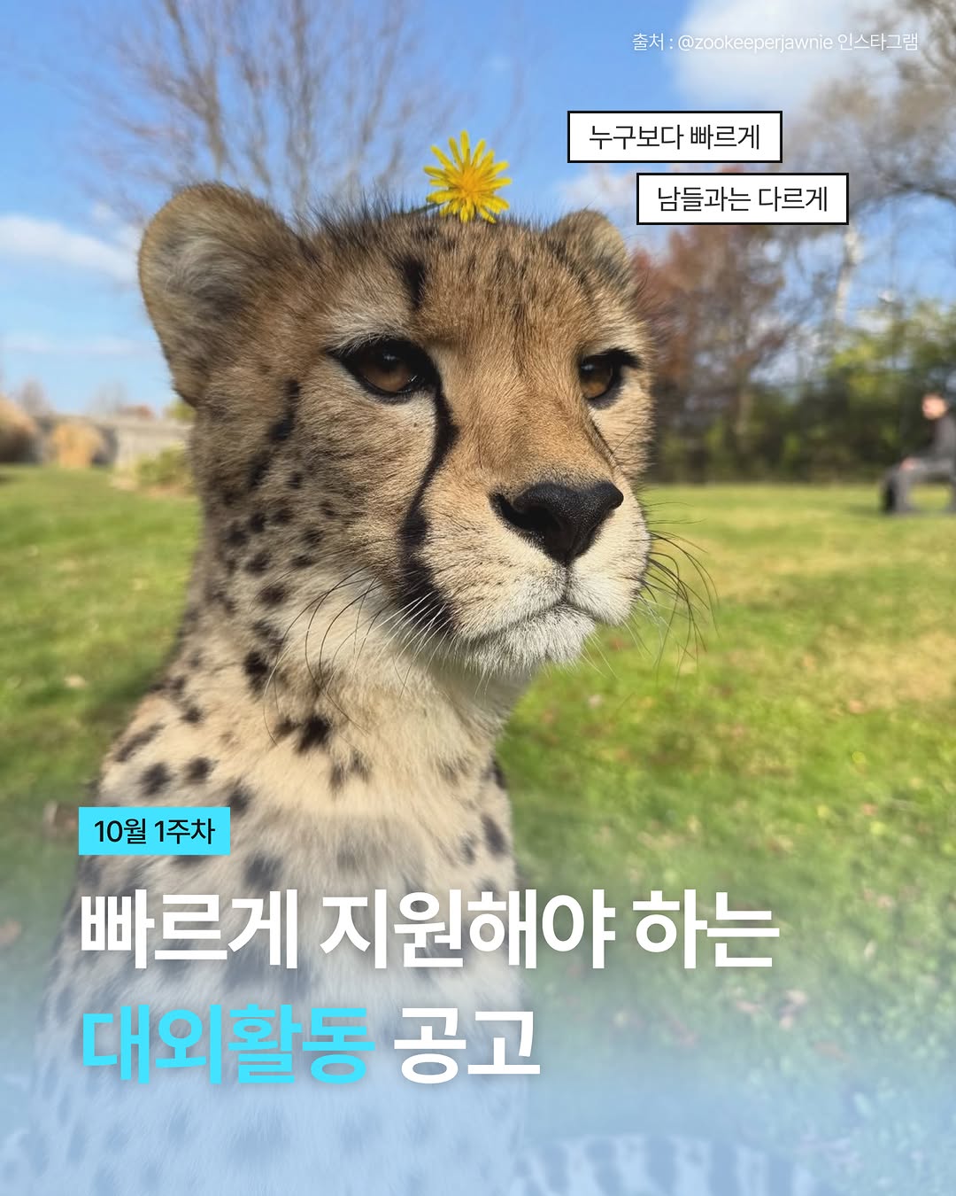코더스 광고 소재