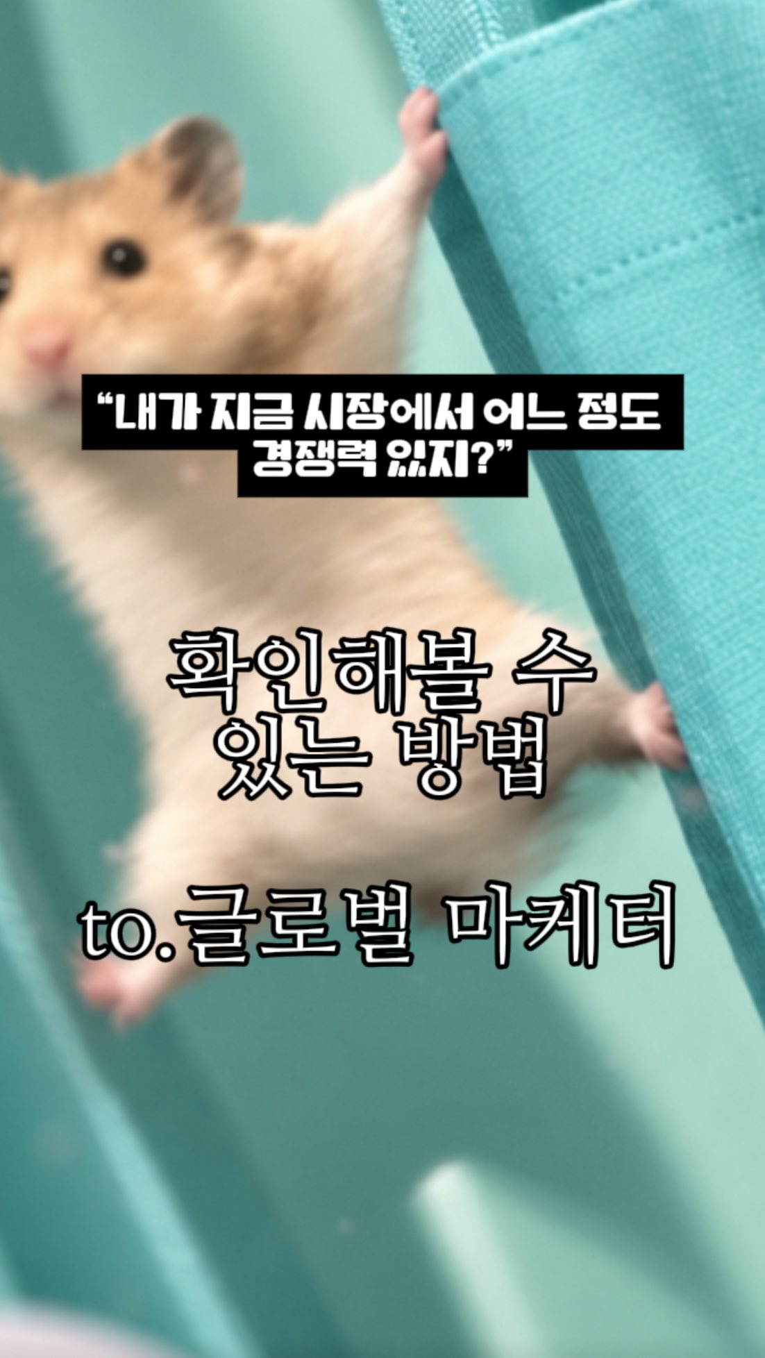 아누아 광고 소재