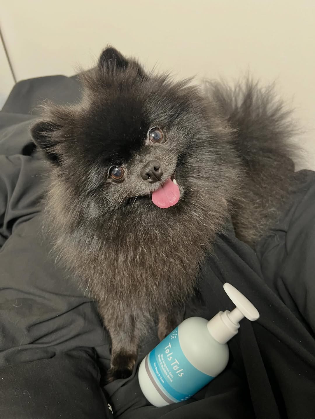 피피 광고 소재