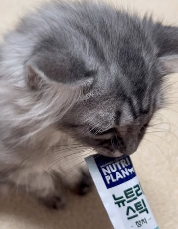 뉴트리플랜 광고 소재