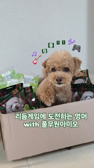 풀무원 Pulmuone 광고 소재