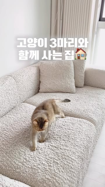 아이리스그룹 광고 소재