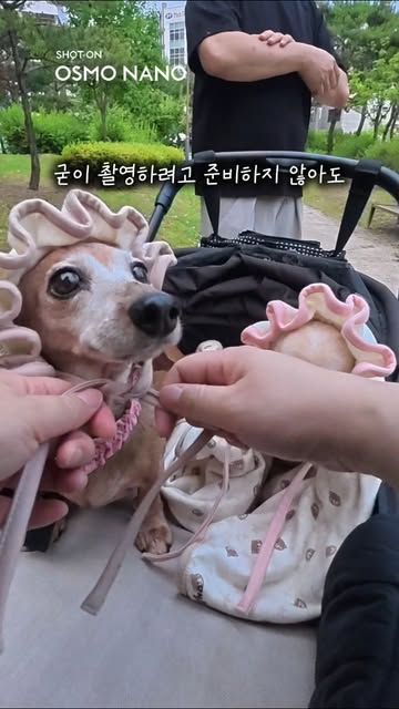 OSMO KOREA 광고 소재