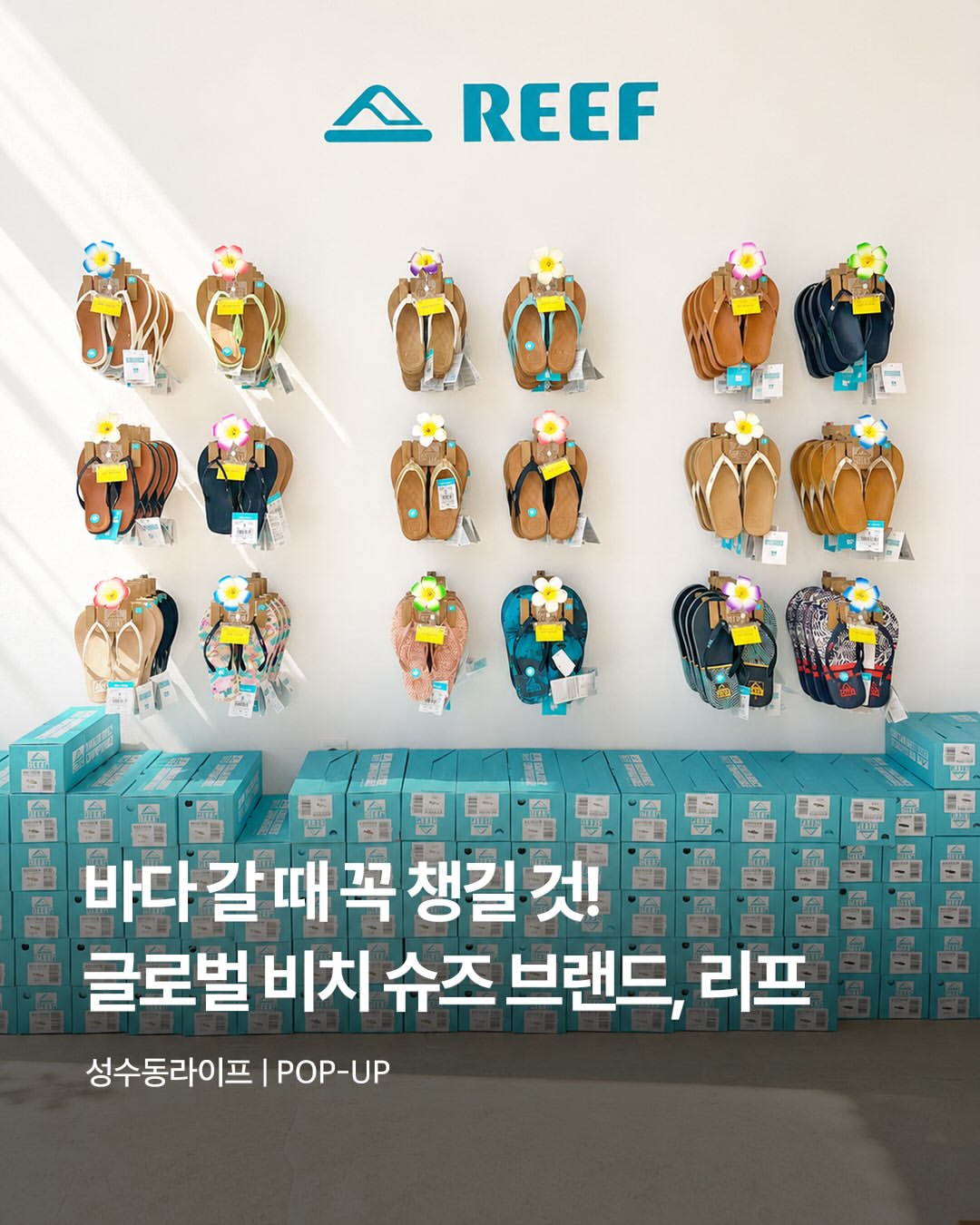 REEF 코리아 광고 소재