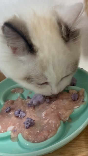 정글키친 광고 소재