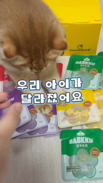 팡드미 광고 소재