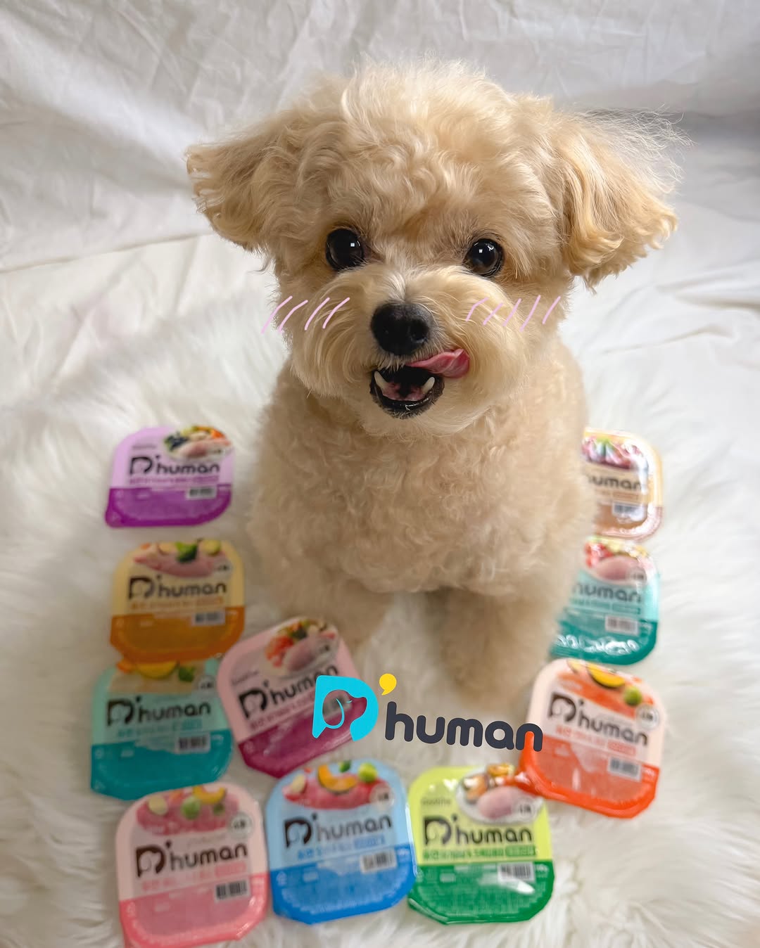 D'human 듀먼 광고 소재