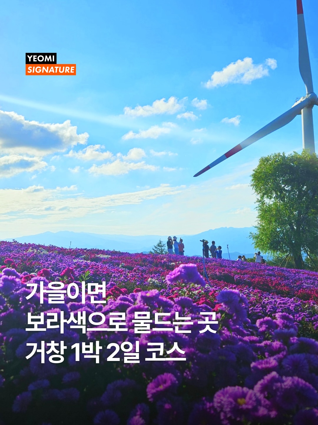 대한민국 구석구석 광고 소재