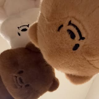 빵고미 프로필