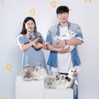 갈치밥풀7냥이네