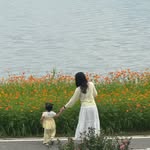 로 희 ෆ