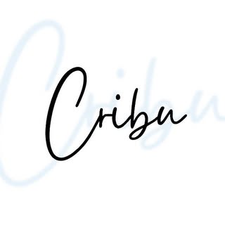 크리뷰ㅣCriBu