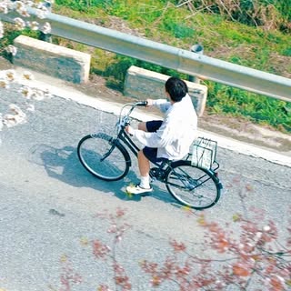 승관 프로필