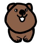 쿼카킁카