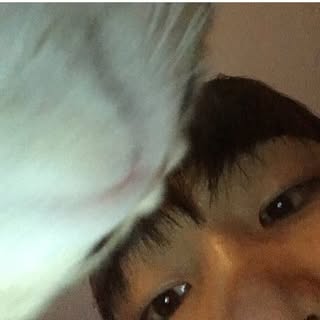 김건요