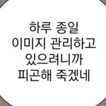 welcom.tom.yw.orld 프로필