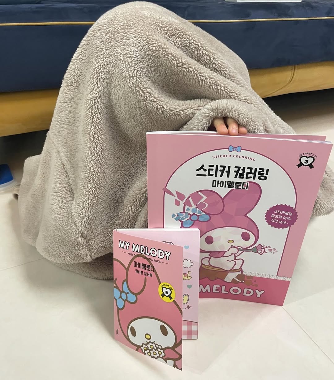 @handyhong_이 올린 북센스 태그 게시물