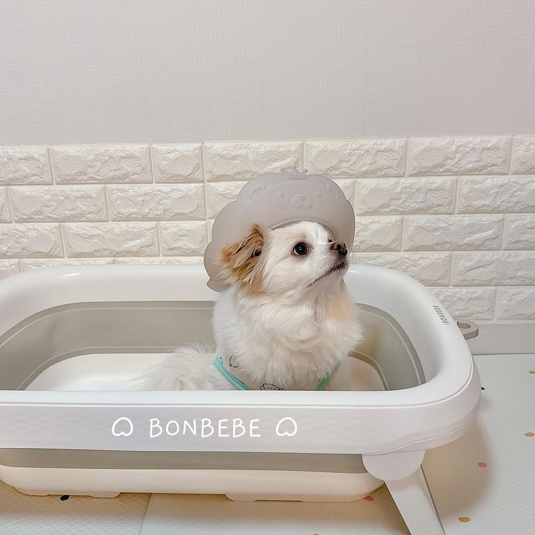 @bonbebe_official이 올린 로 희 ෆ 태그 게시물
