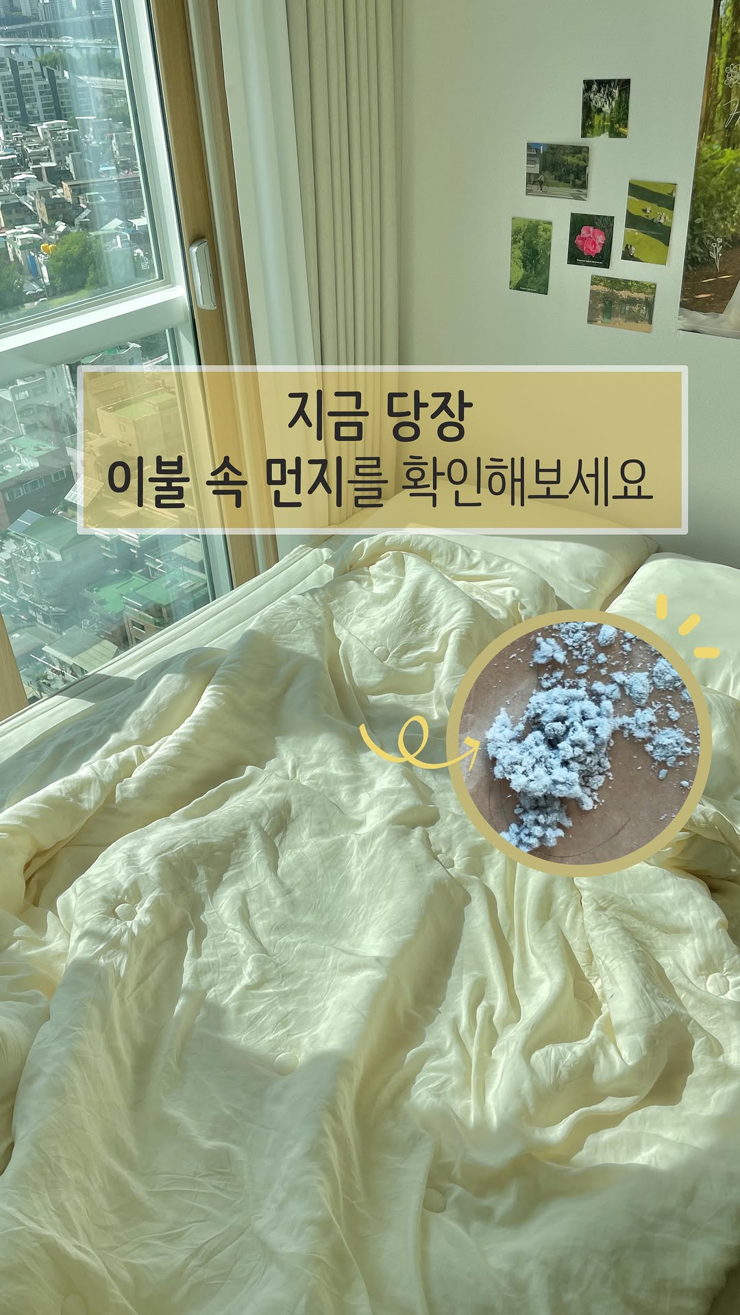 @white_seulki이 올린 디베아 Dibea 태그 게시물