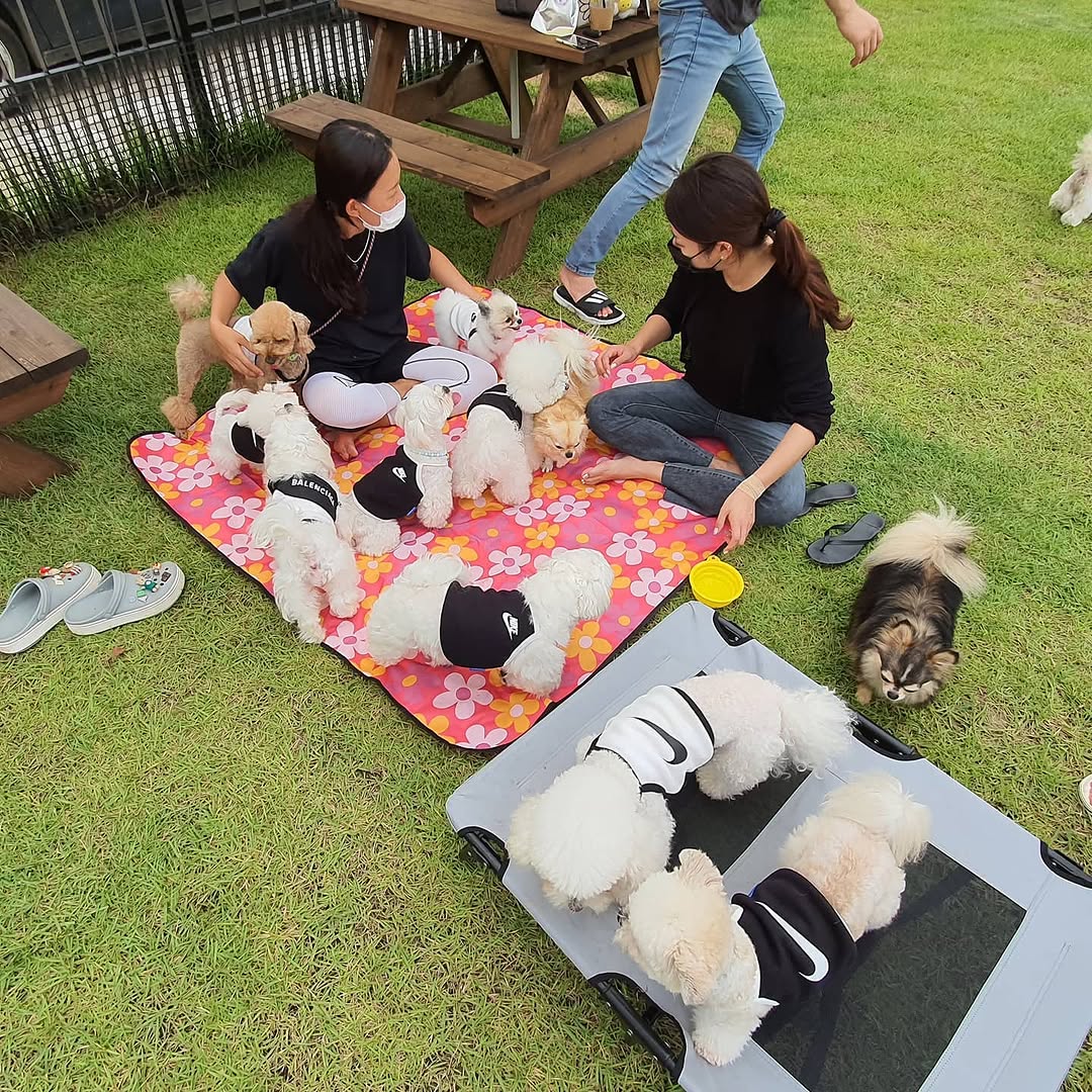 @728.k이 올린 나이키 태그 게시물