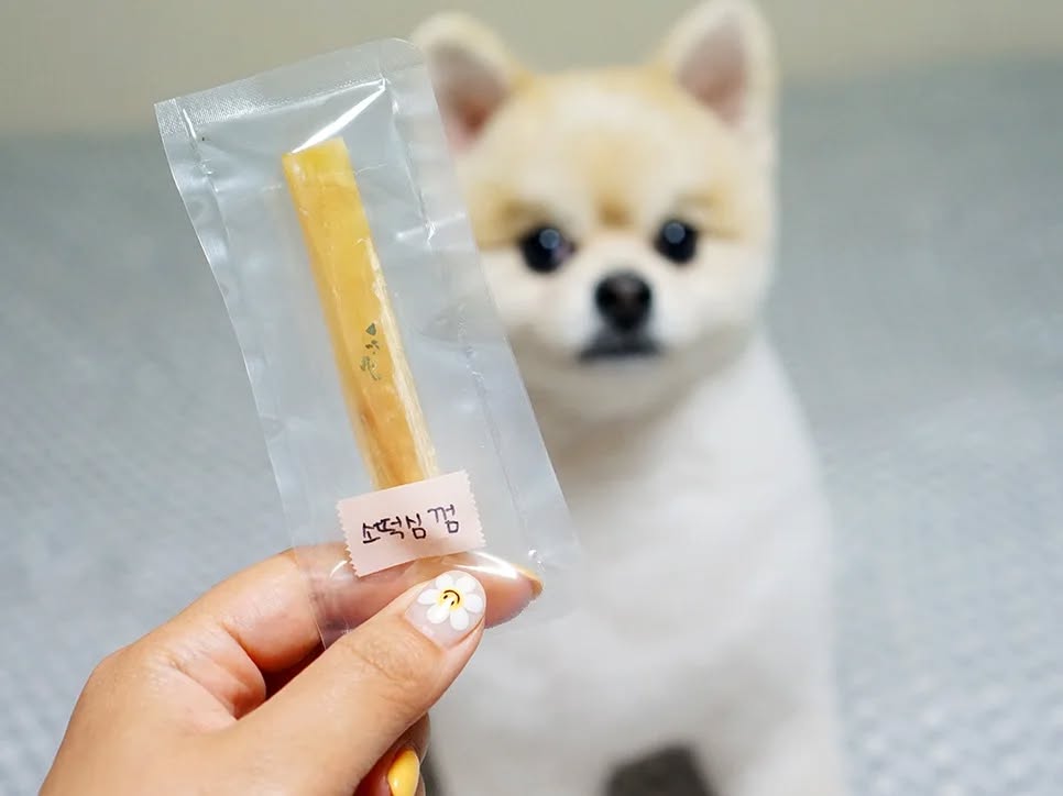 @gucci_partypom이 올린 화정동 속눈썹 태그 게시물