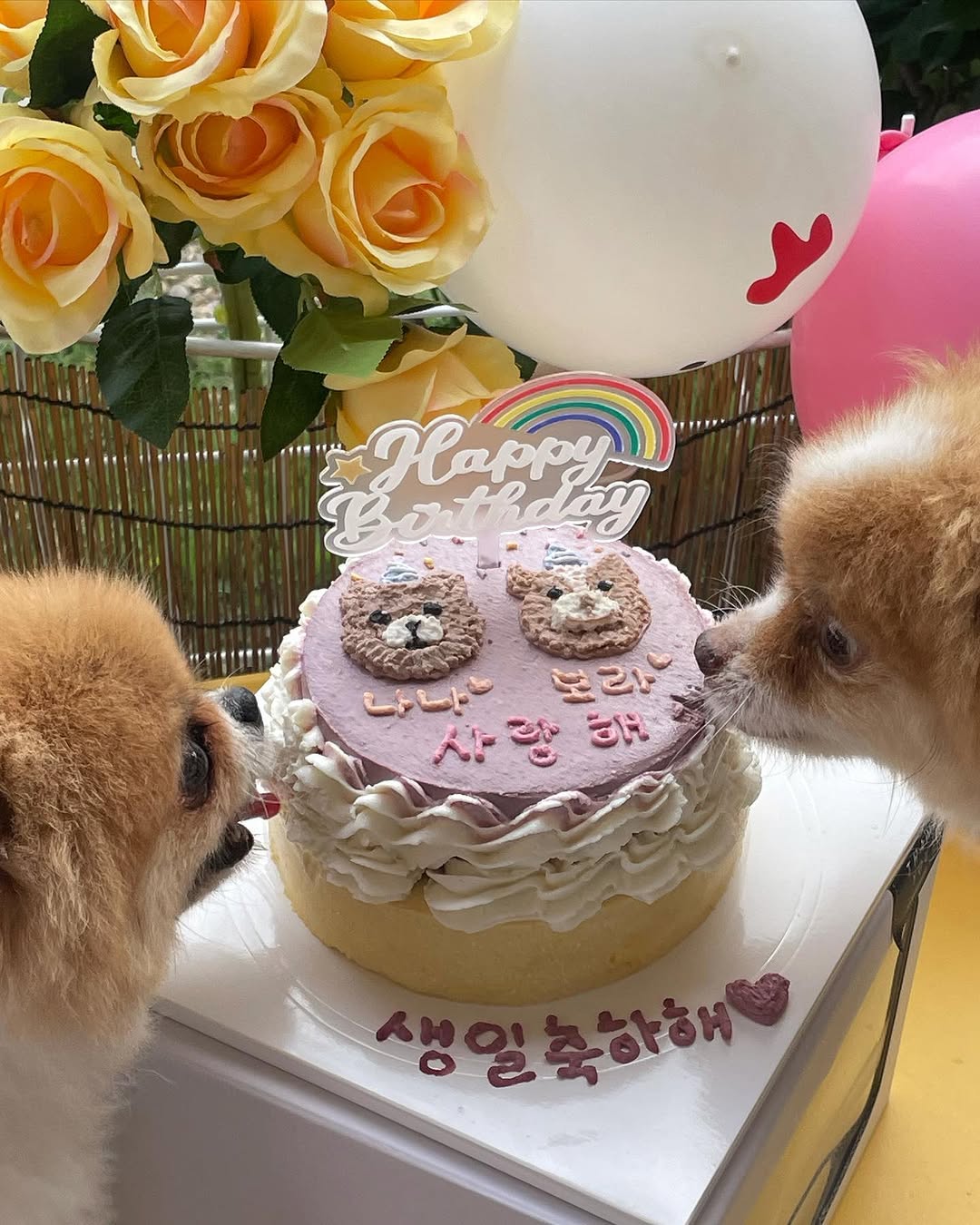 @jyuuuuu_n이 올린 화정동 속눈썹 태그 게시물