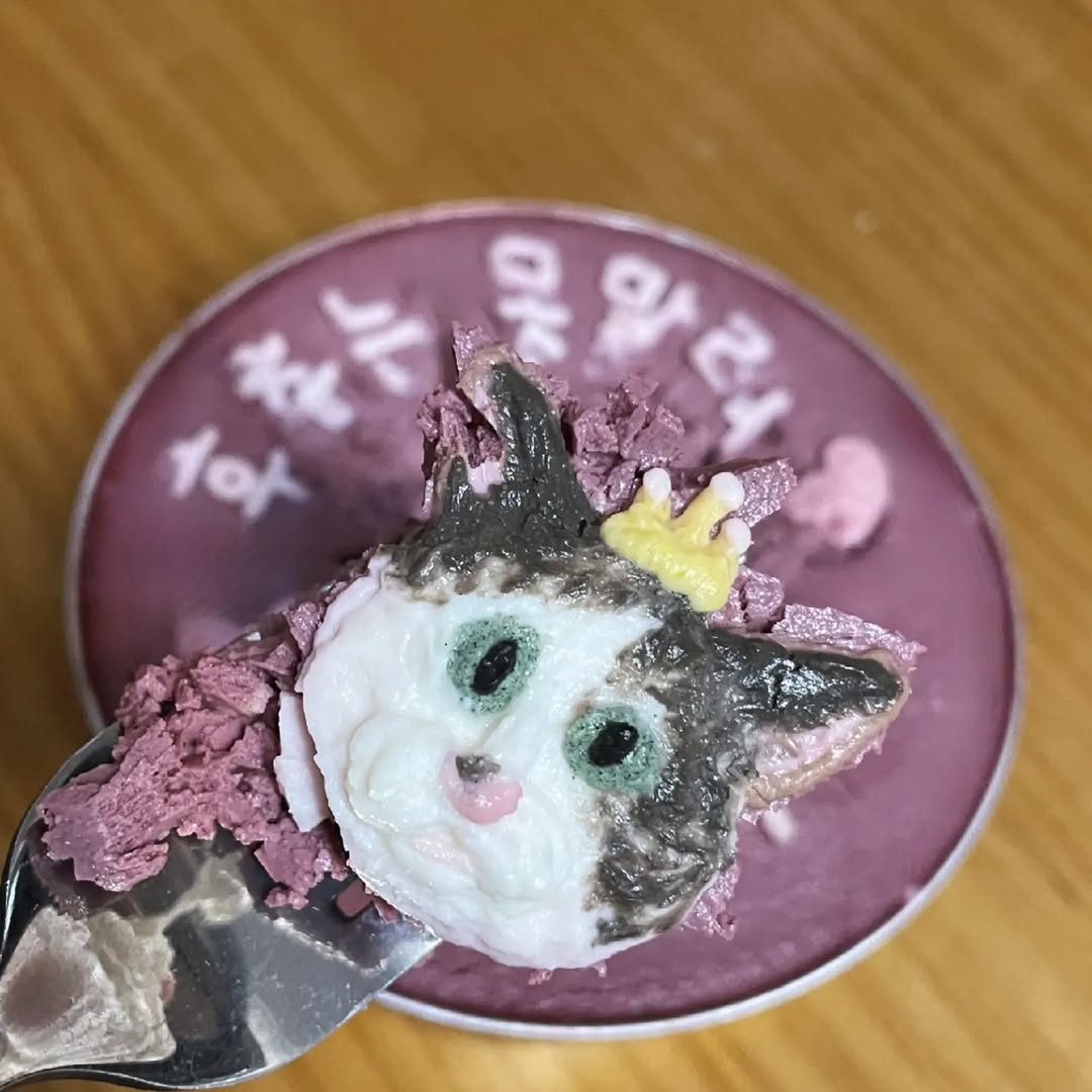 @kkot.hara이 올린 화정동 속눈썹 태그 게시물