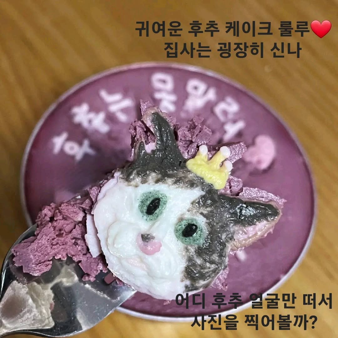 @kkot.hara이 올린 화정동 속눈썹 태그 게시물