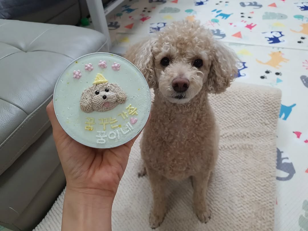 @dream_hope_love_house이 올린 화정동 속눈썹 태그 게시물