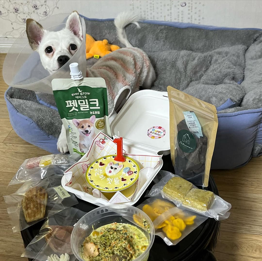 @ccong._.ssoon이 올린 화정동 속눈썹 태그 게시물
