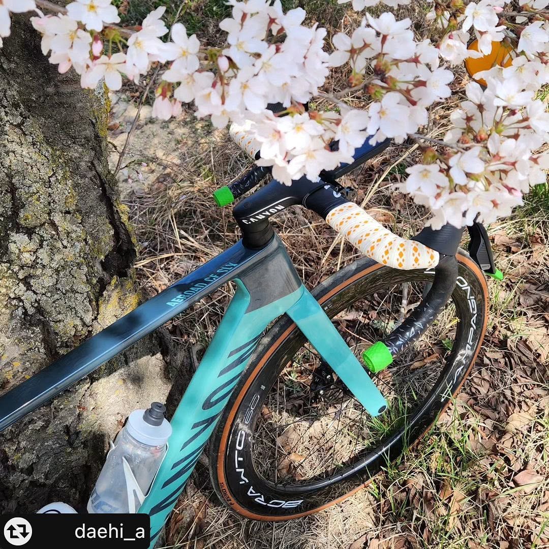 @team_canyon_korea이 올린 이대희 태그 게시물