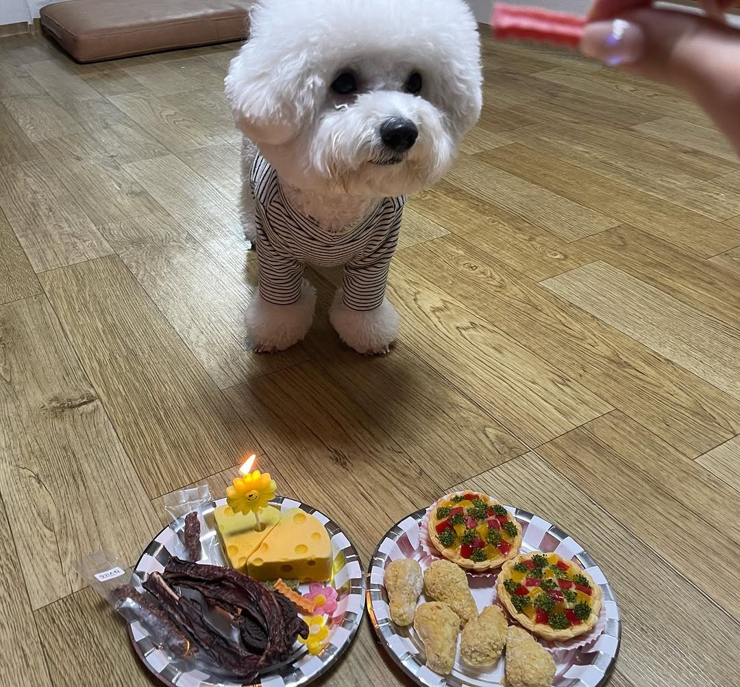 @pp_o_00이 올린 화정동 속눈썹 태그 게시물