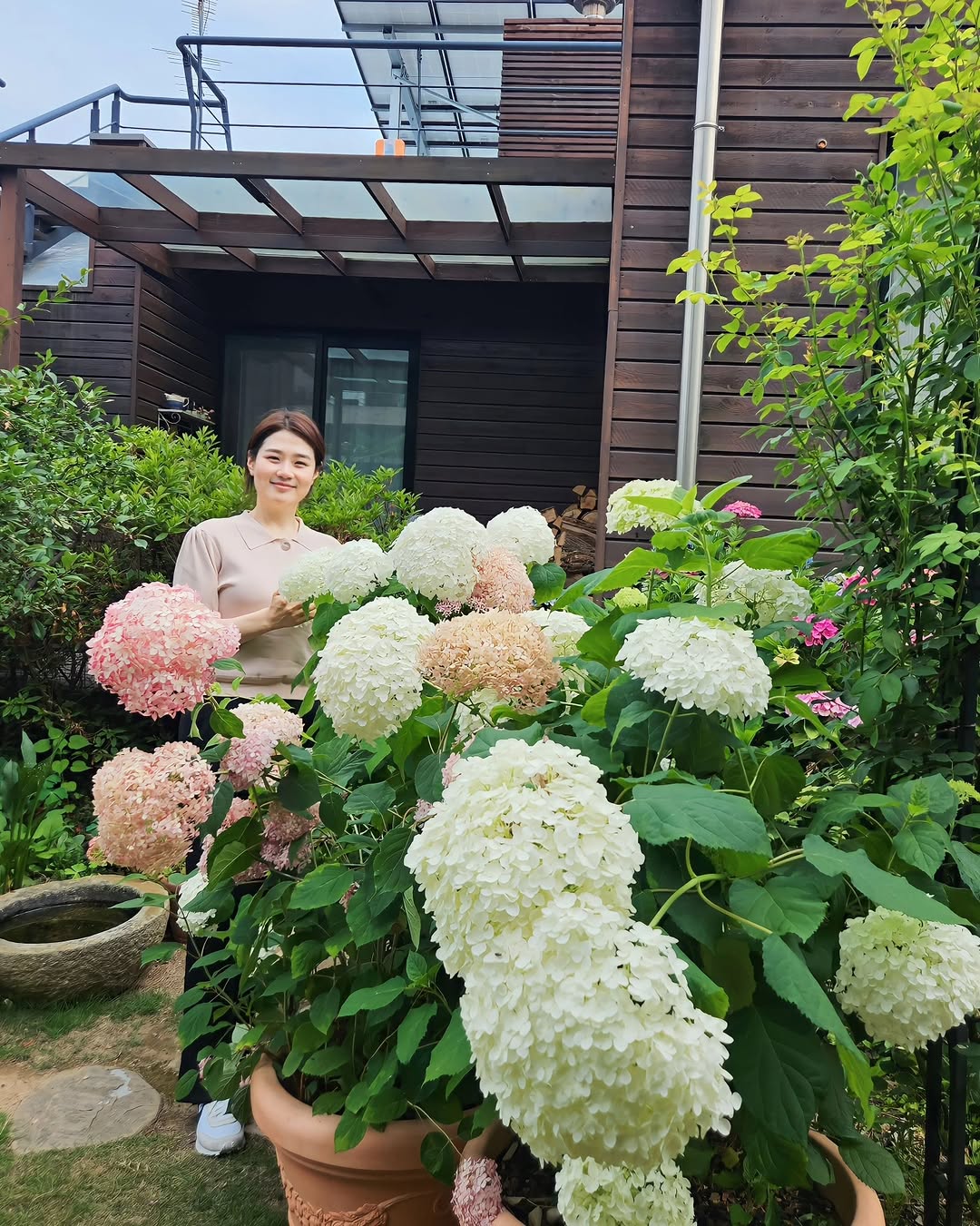 @sonrisa_diet이 올린 파파드림브레드 태그 게시물