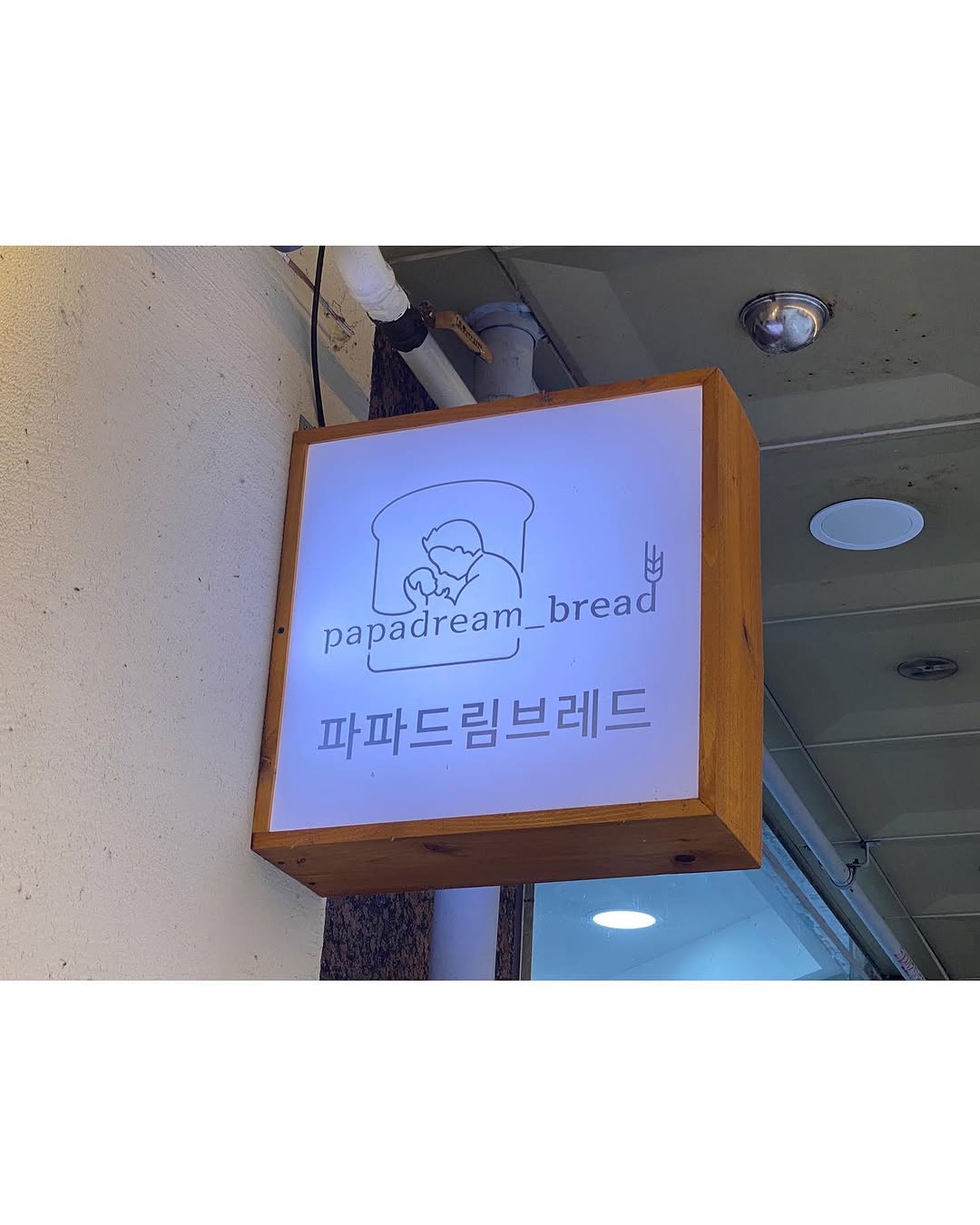 @dovely12_이 올린 파파드림브레드 태그 게시물